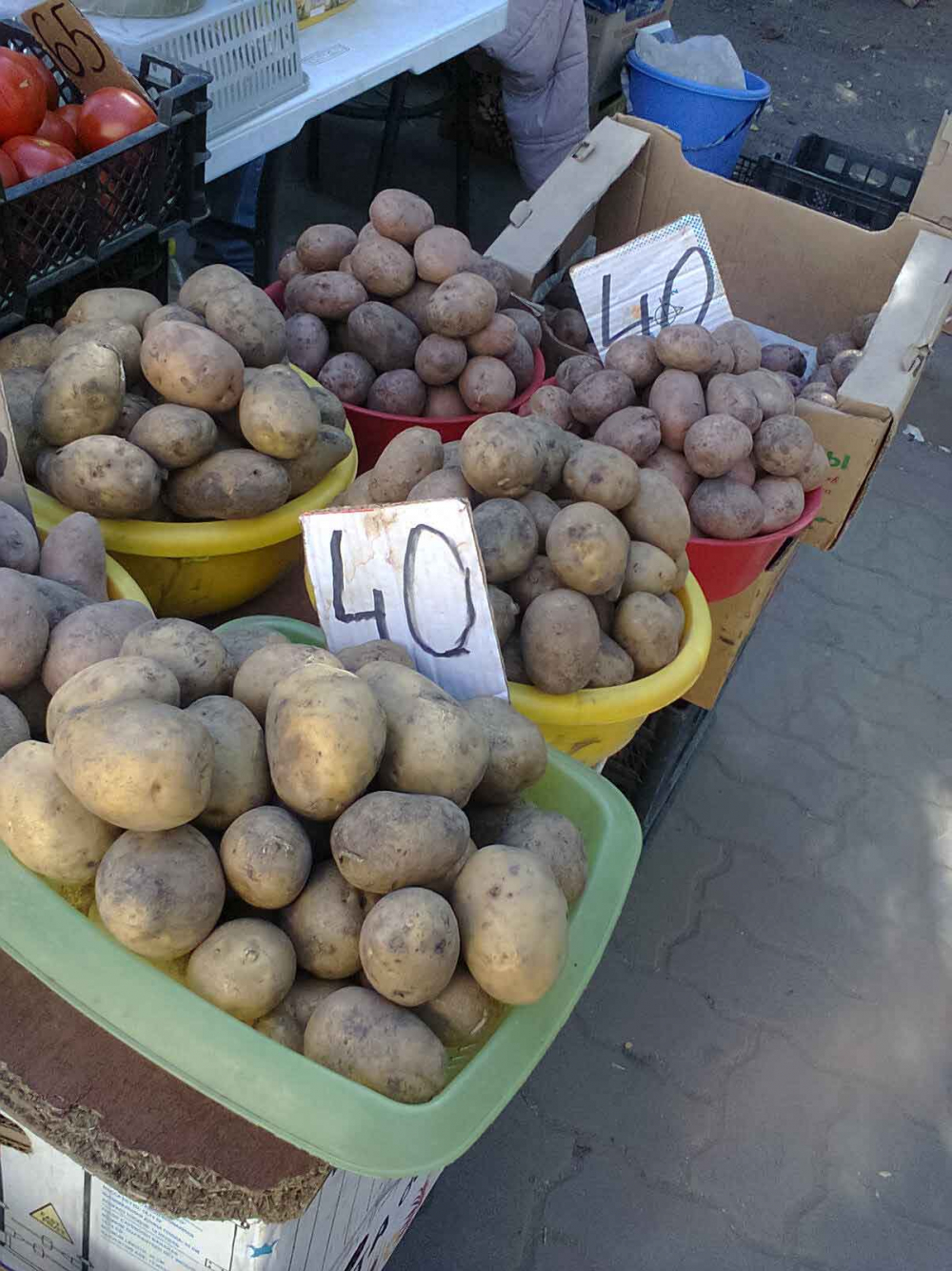 Жителей Волгоградской области стали пугать прогнозами о картошке по 100 рублей за килограмм