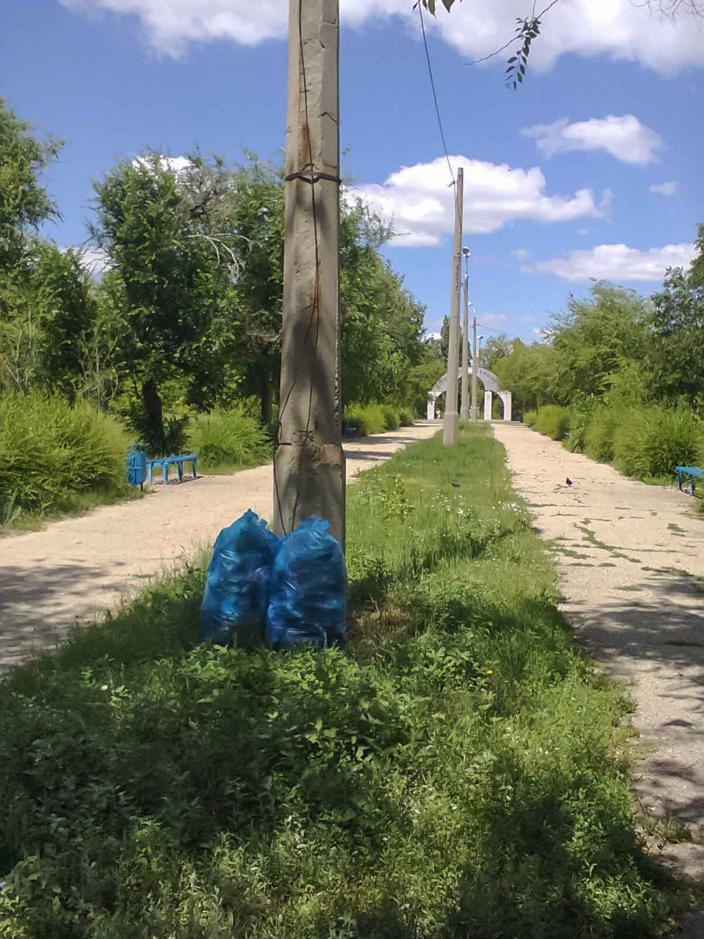 Странное благоустройство: в камышинском парке Строителей лавочки покрасили, а мешки бутылок оставили, - камышанка