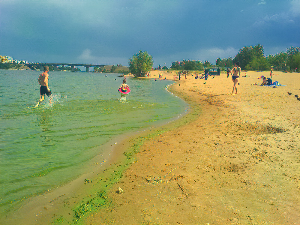 Необустроенное место для купания у администрации Камышина горожане называют «пляжем зеленого болота», но продолжают плавать