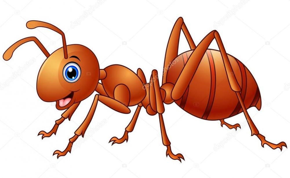 Камышане рассказали в соцсетях, что в школе №4 случилось нашествие муравьев (ВИДЕО)