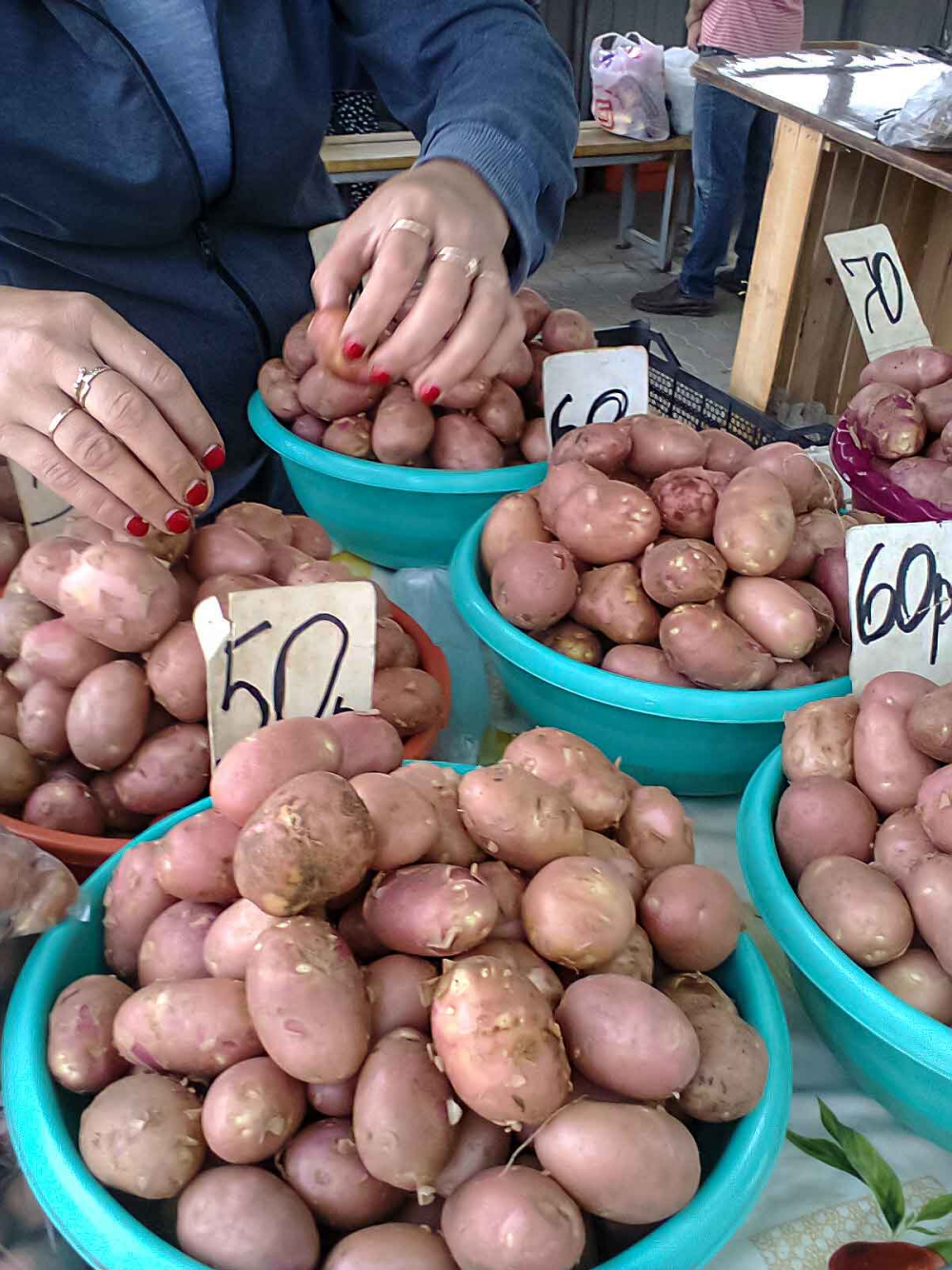 В Камышине помидоры на рынке подешевели до 130 рублей, а картошка замерла на 60-ти