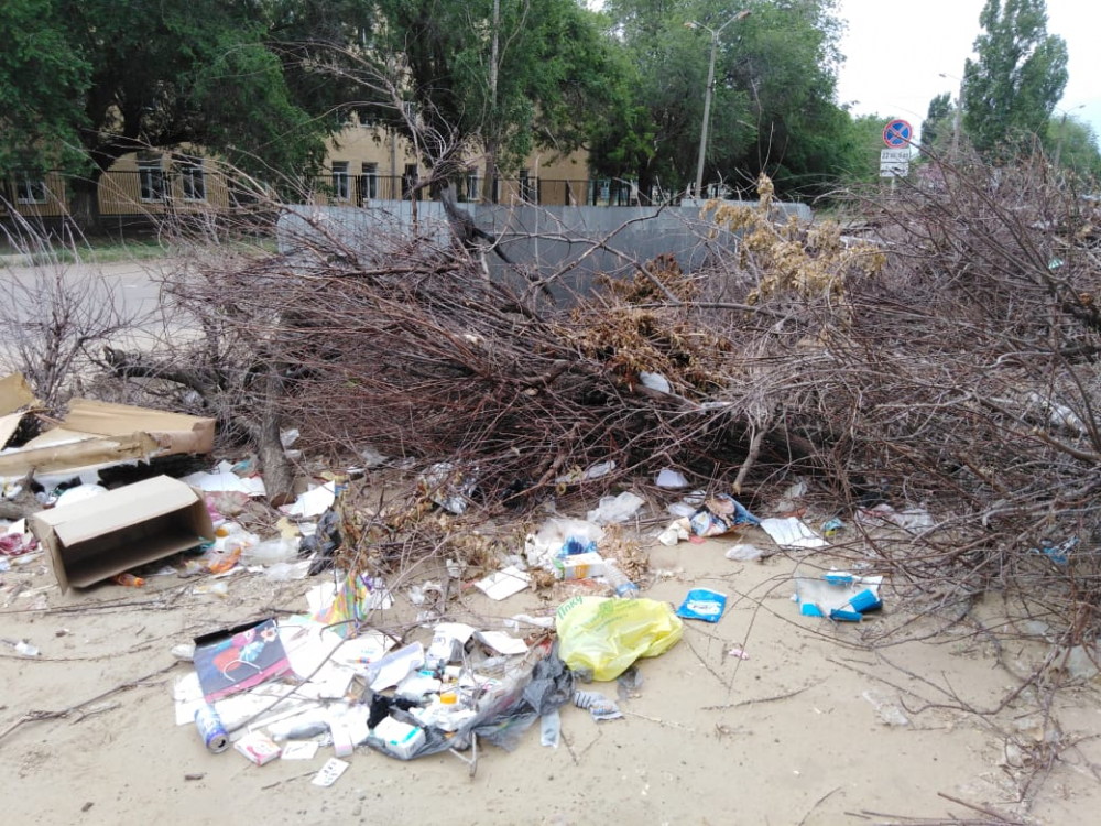 Пора бы мэру Камышина организовать вывоз застарелой мусорной кучи с улицы, где живут семьи военных  - наших защитников, - камышанка