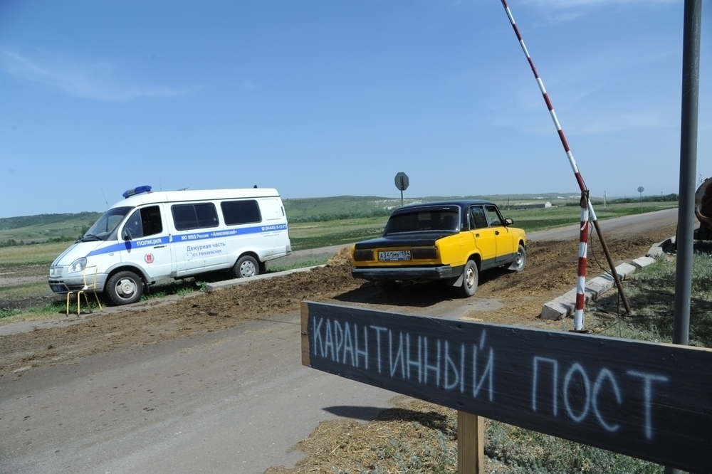 Почему в «противочумном» пункте по дороге в село Терновку Камышинского района инспекторы играют или спят