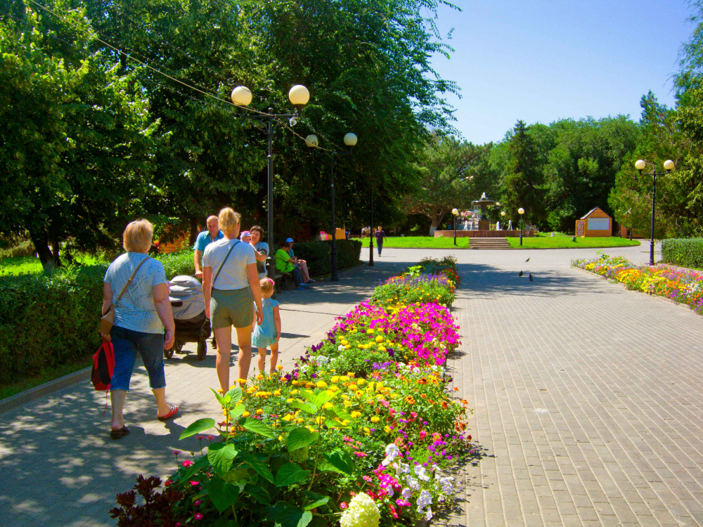 В читательском опросе о рейтинге камышинских клумб побеждают цветники парка Комсомольцев-добровольцев