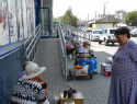 В Камышине дачники осваивают новые рынки "на земле"