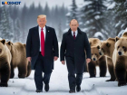 Последняя интрига Аляски: США поставили жесткий ультиматум Зеленскому — судьба главаря Украины предрешена