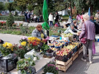 В Камышине от фруктов и цветов стали необычно красивыми обычные рынки