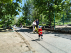 Когда в Камышине парки закроют на обработку от клещей