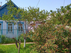 В селе Терновка Камышинского района муж переломал жене ребра