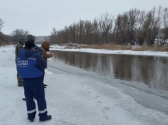 Водолазы временно оставили поиски тела девятилетнего мальчика, утонувшего в реке Чир в Суровикино Волгоградской области