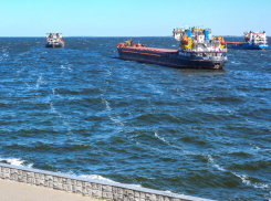 Какие результаты показывают исследования радиационной обстановки в Волгоградской области