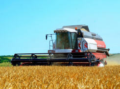 В Камышинском районе рассказали о старте сева озимых