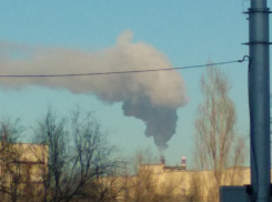 Морозы в Камышине продолжают устанавливать новые максимумы