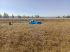 На трассе под Камышином иномарка улетела в кювет, девочку и женщину увезли в больницу