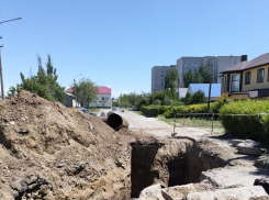 Названы наиболее стабильные отрасли экономики 2026 года в Волгоградской области  