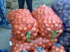 Главам муниципалитетов «спущена» рекомендация открывать сезонные ярмарки