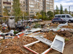 В Камышине разрастаются новые свалки, несмотря на обещания регоператора оперативно вывозить мусор
