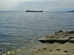 Ситуация с коронавирусом в Камышине ухудшается: сегодня еще двое заболевших