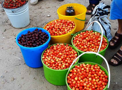 В Камышине дачные маршруты заработают с 15 апреля