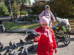 «Блокнот Камышина» искренне благодарит всех участников фотоконкурса «Детки-конфетки» за поток снимков и досрочно прекращает их прием
