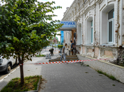 «Додумались тоже - к молодой липе сигнальную ленту привязывать!» - камышанка