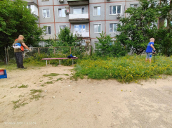 В Камышине «протиратели штанов» проспали июнь: отец и сын спасли детскую площадку от сорных зарослей