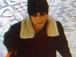 Полиция просит помощи у камышан в установлении личности воровки