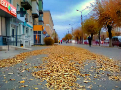 Дворники Камышина, пора подметать город, листопад одолел, - камышанка
