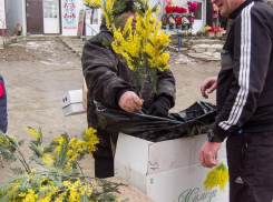В Волгоградской области сотрудники к сотрудницам чаще всего пристают в юридических конторах, а реже всего - в финансовых