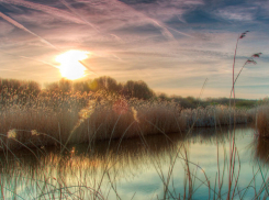 Природоохранные прокуроры оштрафовали главу сельского поселения в Камышинском районе за плотину на малой реке