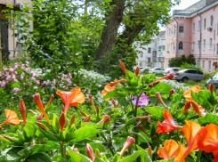 Где в Камышине на завтра, 28 августа, и ночь 29 августа вновь намечены отключения электричества