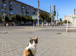 Что случилось на Камышинской ТЭЦ сегодня, 5 октября, из-за чего произошли массовые отключения электричества и воды в городе?
