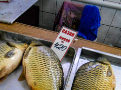 До 5,82% выросла годовая инфляция в Волгоградской области, сильно подорожали овощи, мясо и рыба