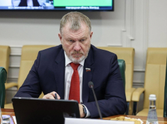 Как волгоградский сенатор мотивирует россиян «плодиться и размножаться»