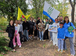 Кто из Камышина поехал на молодежный фестиваль в Волгоград - известно, за какие заслуги - нет