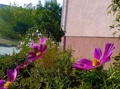 К Камышину подступает дождевой фронт