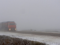 Вчера половина серьезных аварий в Волгоградской области произошла в Камышинском районе: участники ДТП «сносили» людей и деревья