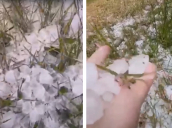 Жители показали, как побелели от гигантского града поля в соседнем с Камышинским - Ольховском районе (ВИДЕО)