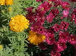 Октябрь приготовил для камышан солнечные деньки и +20 градусов