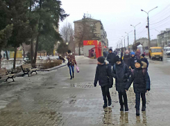 В самом центре Камышина у бывшей «Победы» прогуливающихся бездомных собак уже, наверное, больше, чем людей, - камышанка