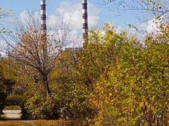 Администрация Камышина сообщила, куда жаловаться на холодные батареи