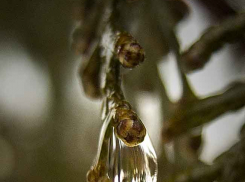 В Камышине сегодня затяжной дождь, но завтра чистое небо и +6, еще через день +8!