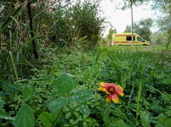 В Камышине в ночь с субботы на воскресенье столбики термометров опустились до нуля