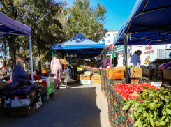 Дешевле уже не будет: волна заморозков скорректировала цены на овощи на рынках 