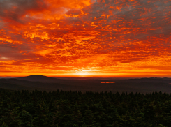 В Камышине в районе железнодорожного вокзала обнаружен труп мужчины