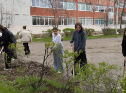 В Камышине у школы №19 ребята убрали зеленую «линию», открытую в память о герое СВО, разведчике Максиме Ивченко