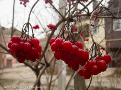  В Камышине трупный запах из квартиры перепугал жильцов-соседей: страшная находка заставила следователей начать процессуальную проверку