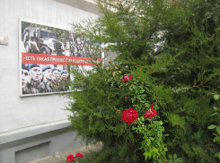 В Минобороны прокомментировали, чем поручат заниматься мобилизованным