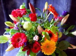  34-летний мачо изнасиловал женщину за отказ принять от него букет, - «Блокнот Волгограда» 