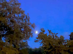 Что за пальба случилась в Камышине у многоэтажек на улице Базарова в ночь на субботу, 29 октября? - камышанка